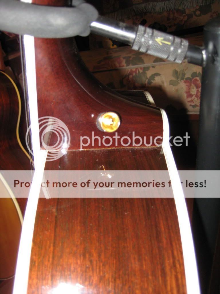 Anyone install a strap button on a Guild D40 ? The Acoustic Guitar Forum